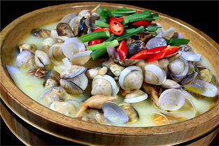 辣丁灣撈汁小海鮮加盟費