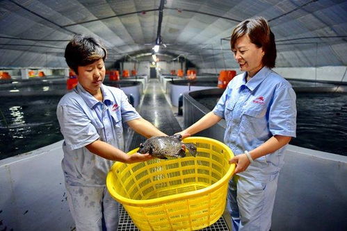 涉林下經(jīng)濟(jì) 深遠(yuǎn)海養(yǎng)殖等,大食物觀構(gòu)建多元化供給體系