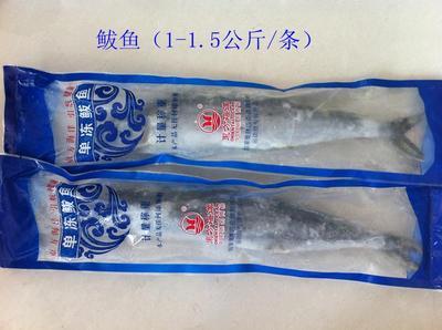 青島海鮮盛宴，禮遇四方 城陽海產(chǎn)品禮盒批發(fā)采購全指南