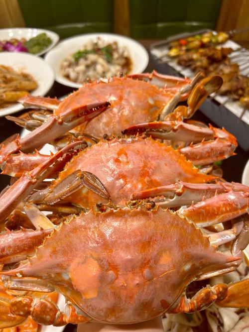 大連海鮮盛宴 饕餮之旅，只此一嘗